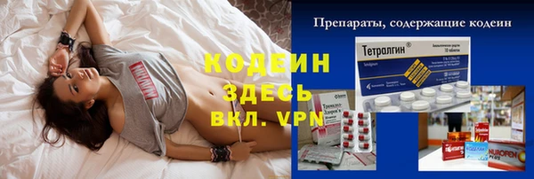 мет Няндома