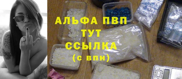 PSILOCYBIN Новокубанск
