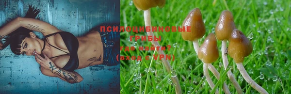 мет Няндома