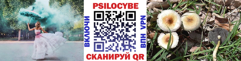 Псилоцибиновые грибы GOLDEN TEACHER Салаир